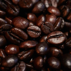 Oudgasm Café Oud | 19 Bakhoor